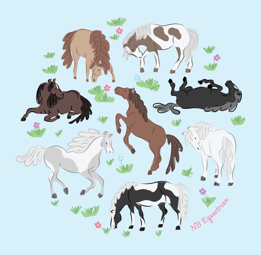 Horses artwork for NB Equestrian