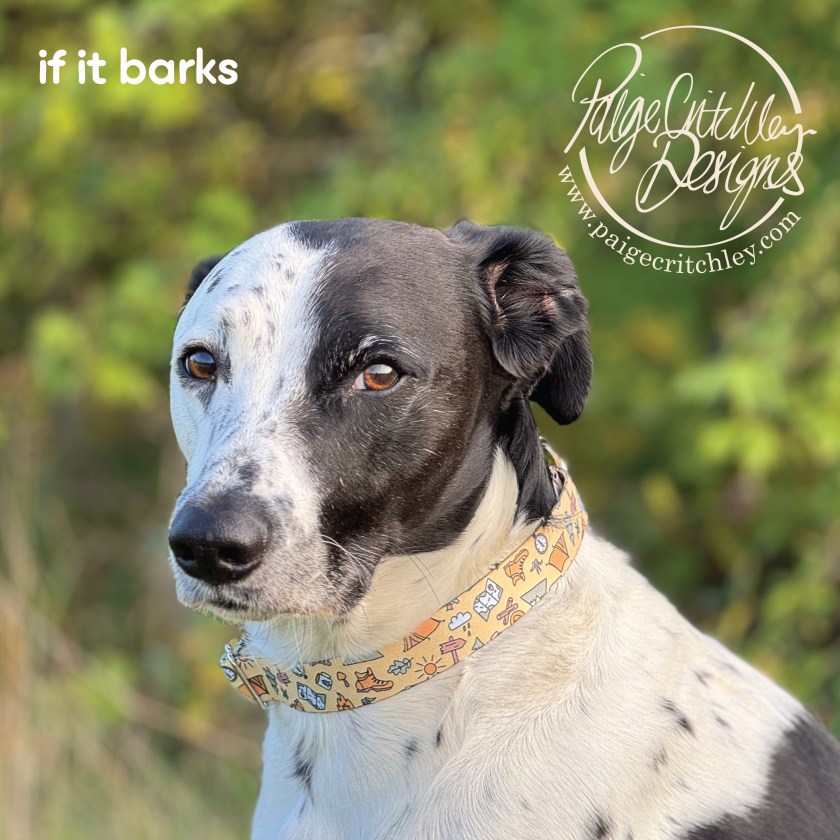 If it barks autumn winter collection - designed by paigecritchley.com