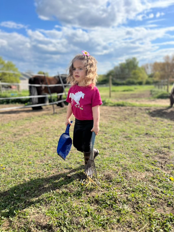 Horses illustration for NB Equestrian