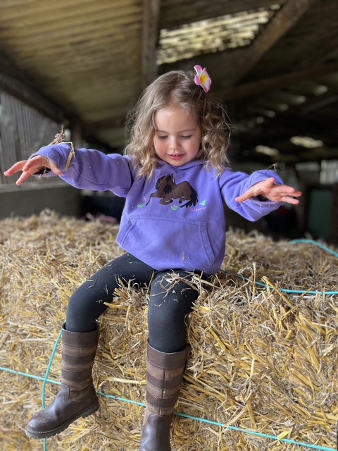 Horses illustration for NB Equestrian