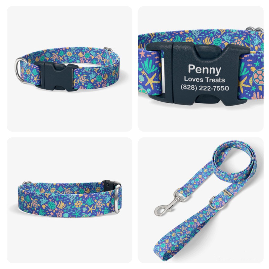 Summer designs for If It Barks - Paige Critchley Designs