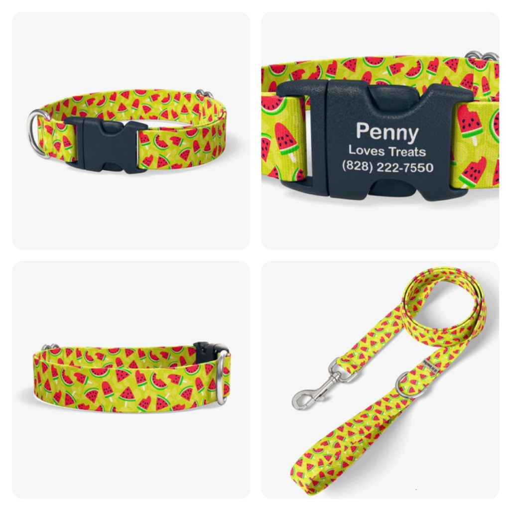 Summer designs for If It Barks - Paige Critchley Designs