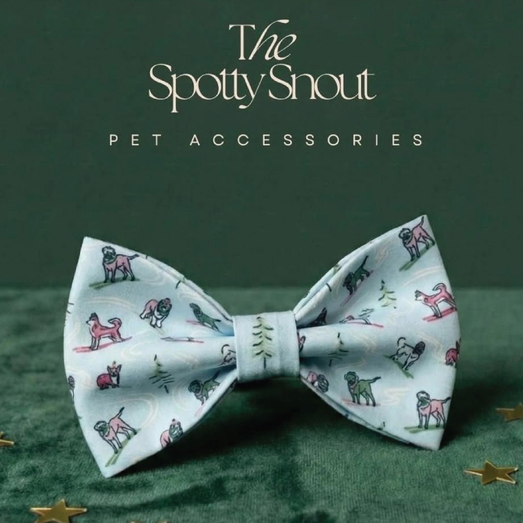 Skiing dogs design for The Spotty Snout. Print design by paigecritchley.com