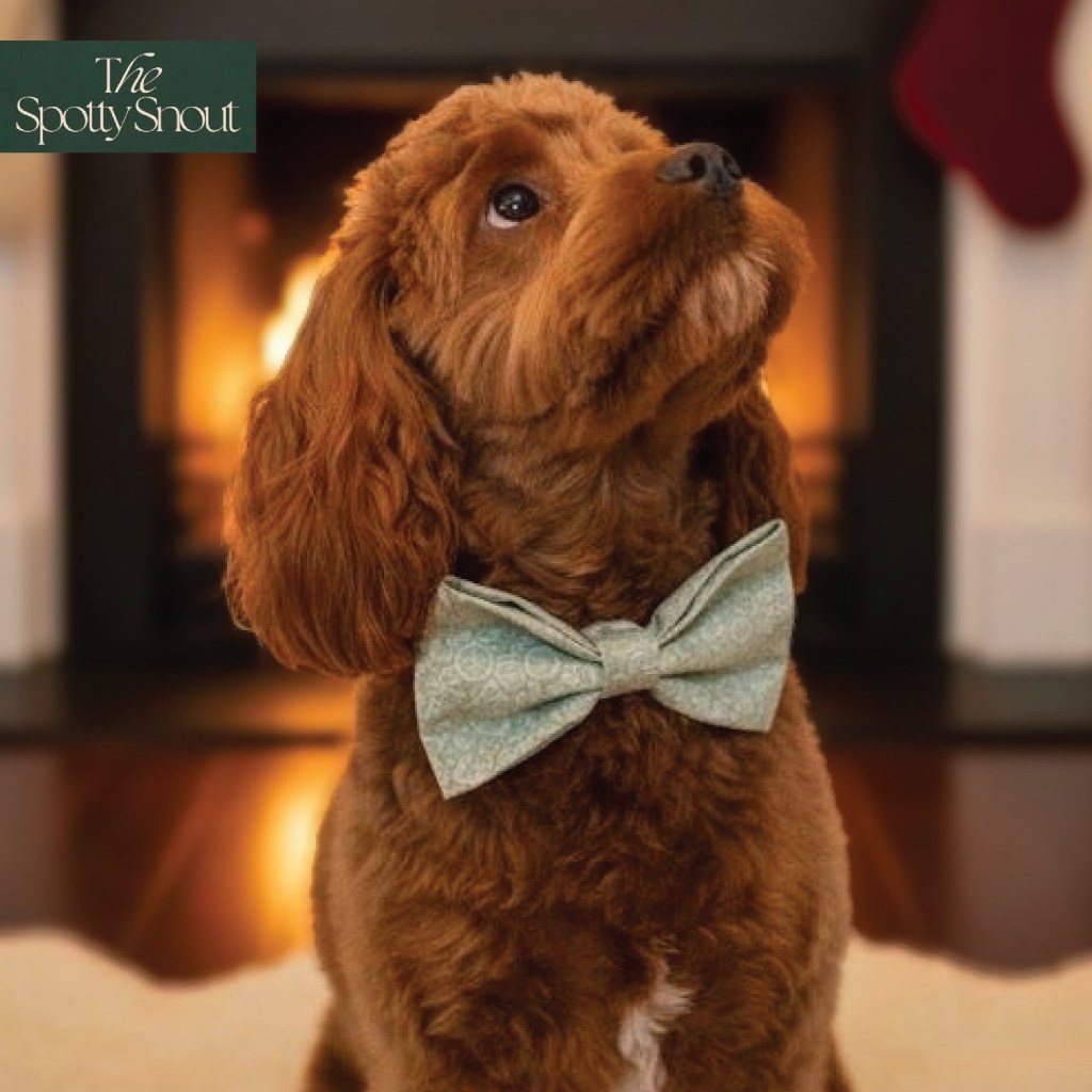 Skiing dogs design for The Spotty Snout. Print design by paigecritchley.com