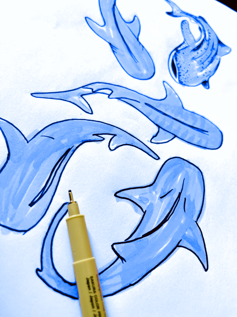 Whale shark print design by paigecritchley.com