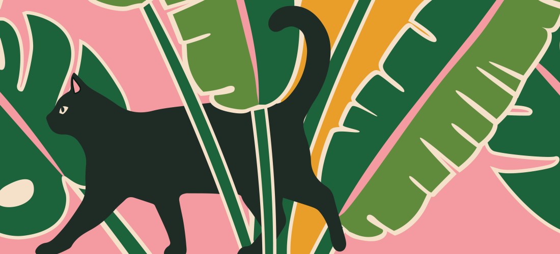 Cat furniture artwork for The Refined Feline - designed by paigecritchley.com